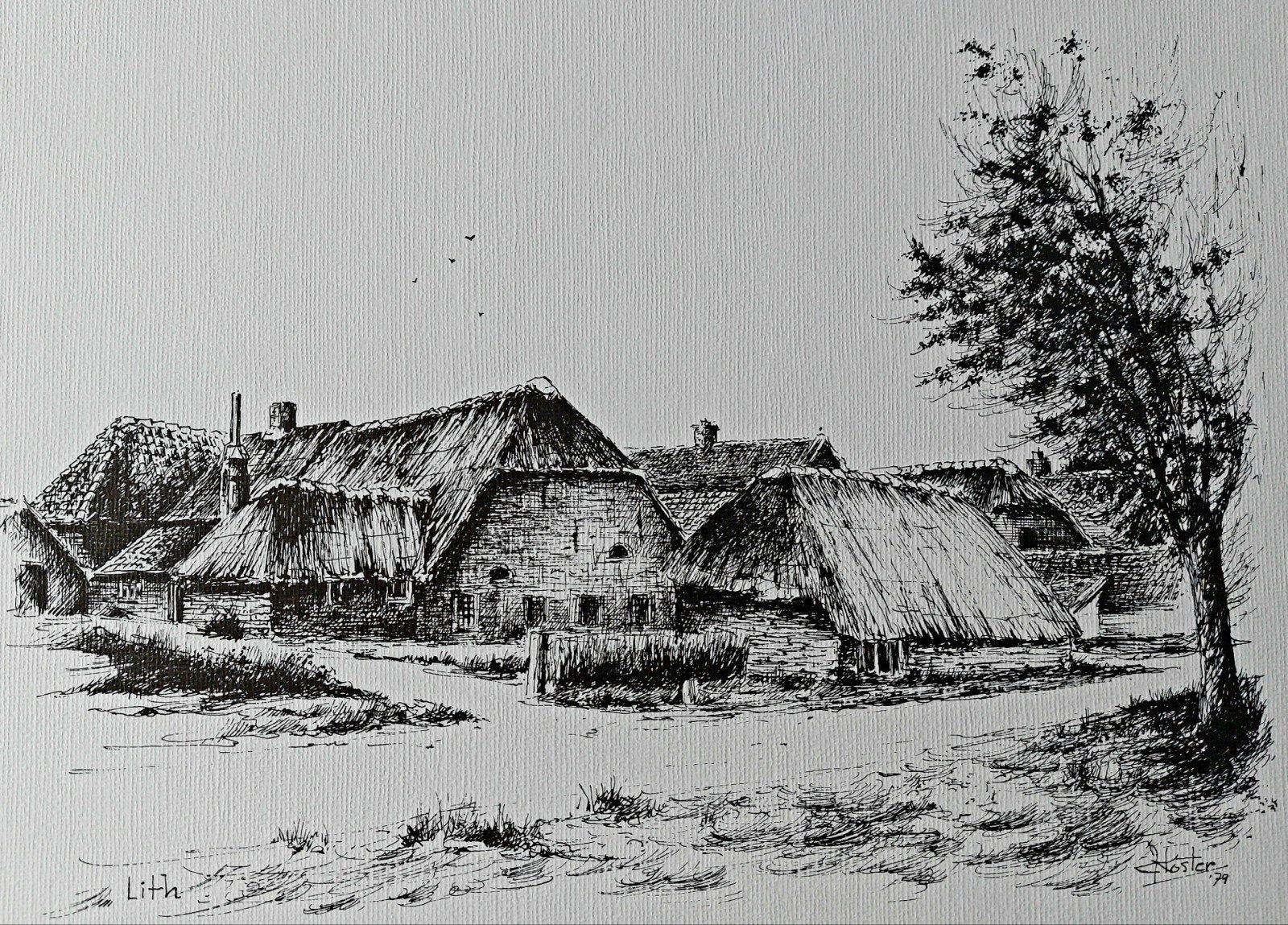 Lith ... boerderijen ... Kees Koster ...

Pentekening Kees K, Ophalen of Verzenden
