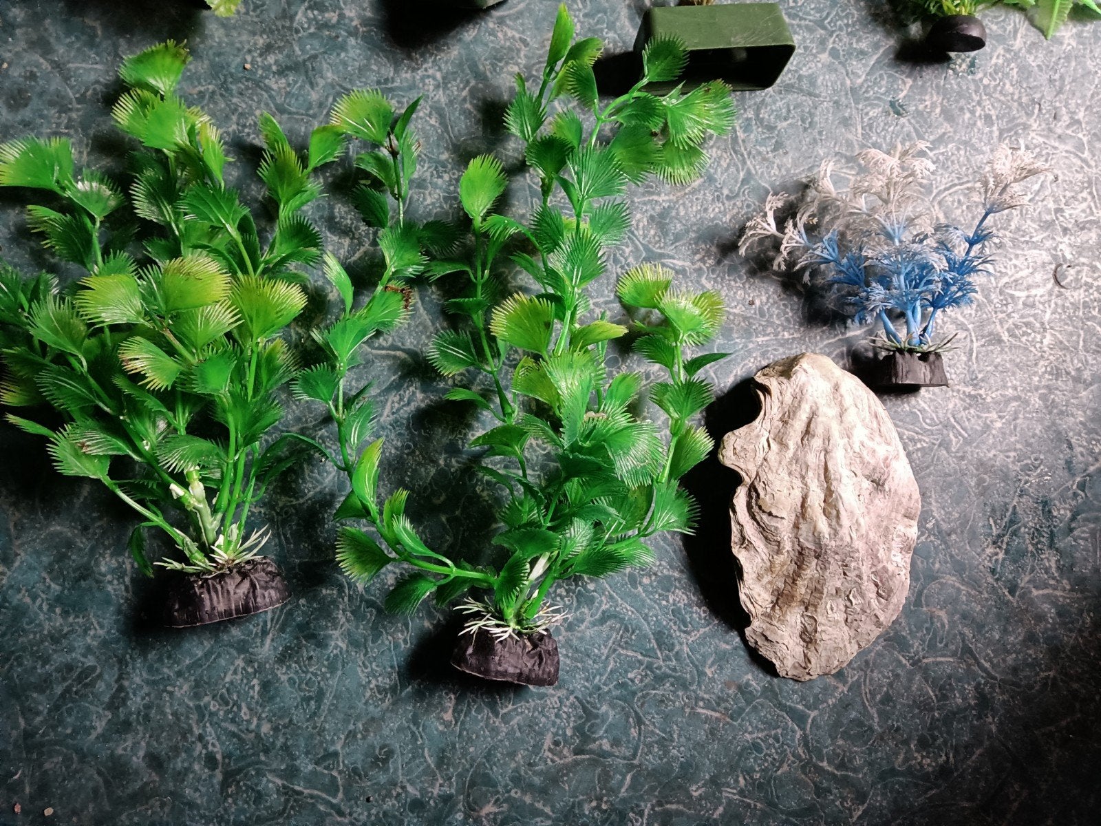 aquarium planten, Ophalen of Verzenden, Gebruikt, Plant(en), Steen of Hout