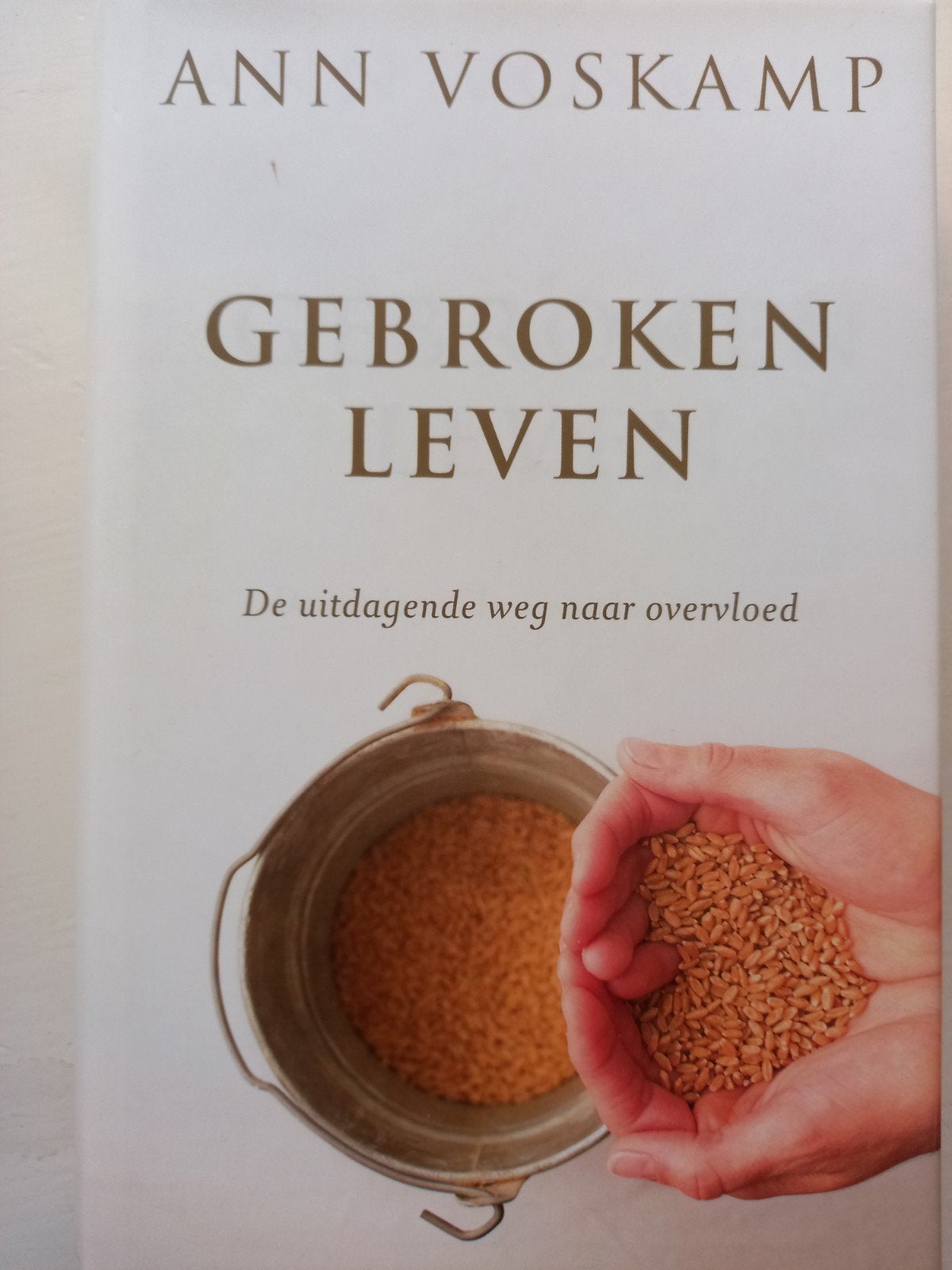 Ann Voskamp - Gebroken leven, Ophalen of Verzenden, Zo goed als nieuw, Ann Voskamp