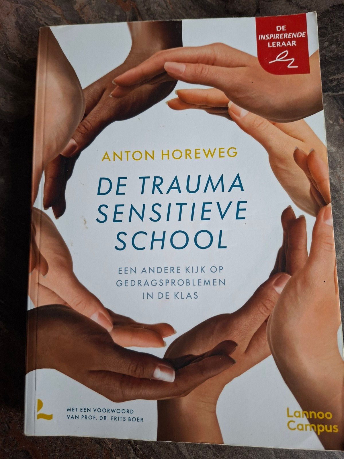 De Trauma Sensitieve School - Anton Horeweg, Boeken, Zo goed als nieuw, Gamma, Anton Horeweg, HBO