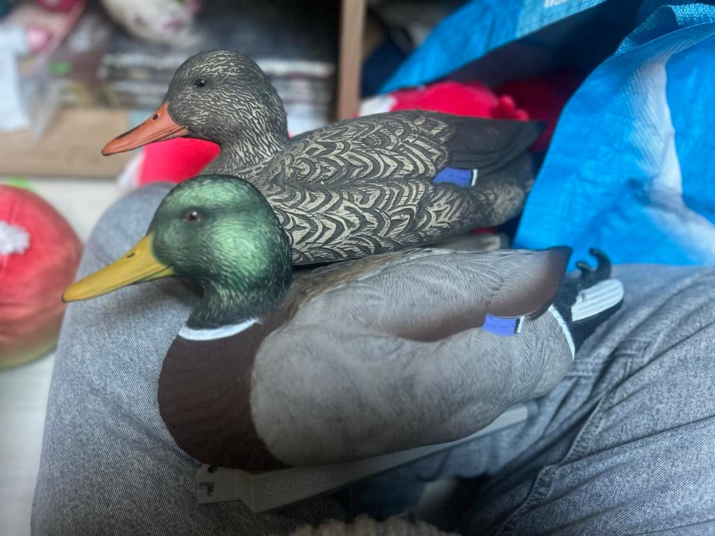 Nep eendjes - Lokvogels voor jacht of decoratie, Ophalen of Verzenden, Gebruikt, Vogel, Overige typen