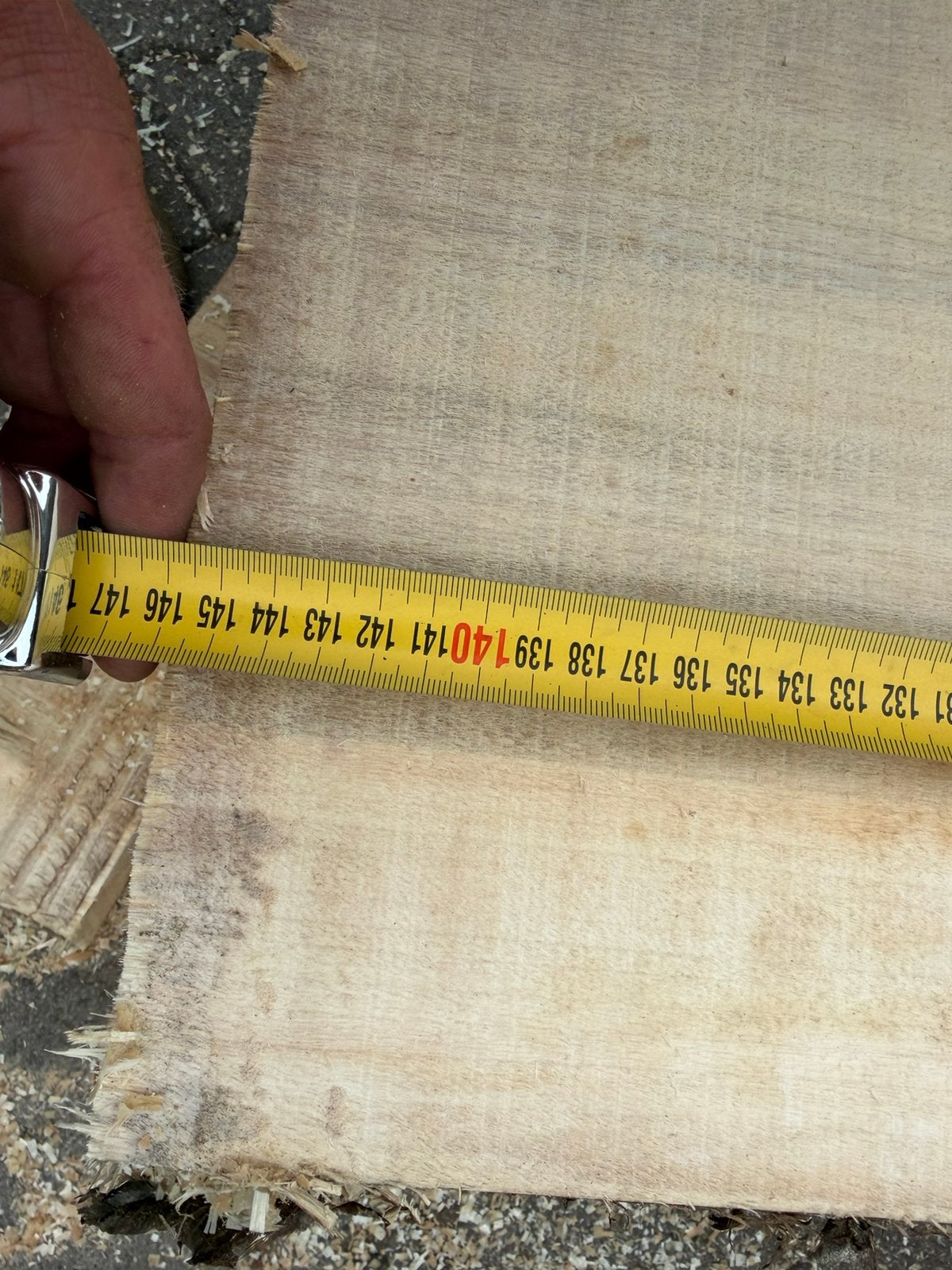 Grote boomstambladen, Ophalen, Zo goed als nieuw, 250 cm of meer, Planken