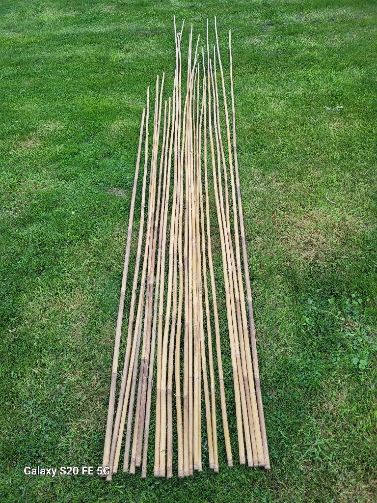 bamboe stokken, Ophalen, Zo goed als nieuw, 250 cm of meer, Overige typen