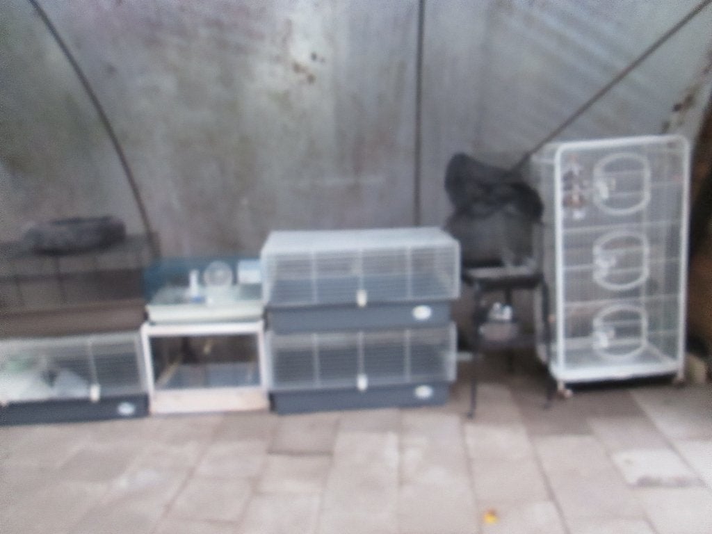 2xvogel kooi//ratten kooi// hamsterkooi//broed blokken, Dieren en Toebehoren, Ophalen, Gebruikt, Hout, Vogelkooi