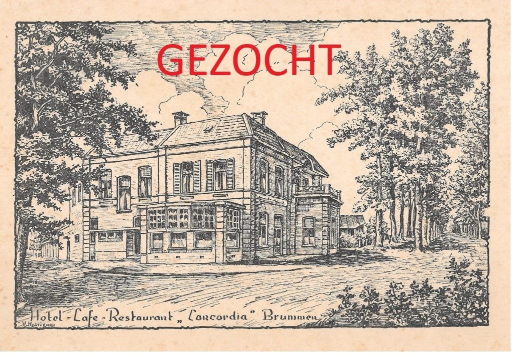 Gezocht: prentbriefkaarten van H. Holterman, Ophalen of Verzenden, Gelderland