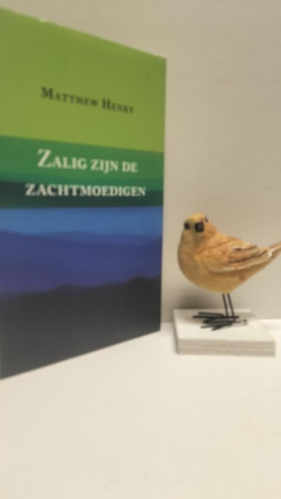 Henry, Matthew; Zalig zijn de zachtmoedigen, Ophalen of Verzenden, Gelezen, Christendom | Protestants