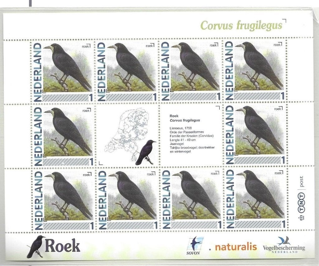 Vel persoonlijke zegels, Vogels Roek postfris, Ophalen of Verzenden, Postfris