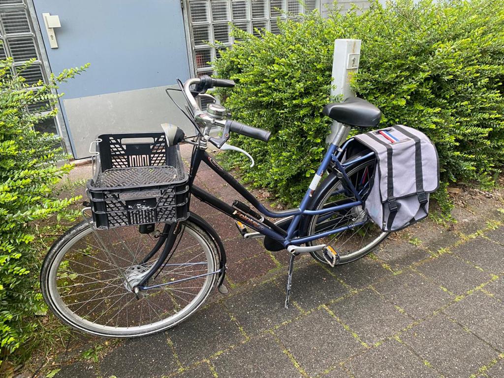 Pointer damesfiets, Ophalen of Verzenden, Zo goed als nieuw, Overige merken, Versnellingen