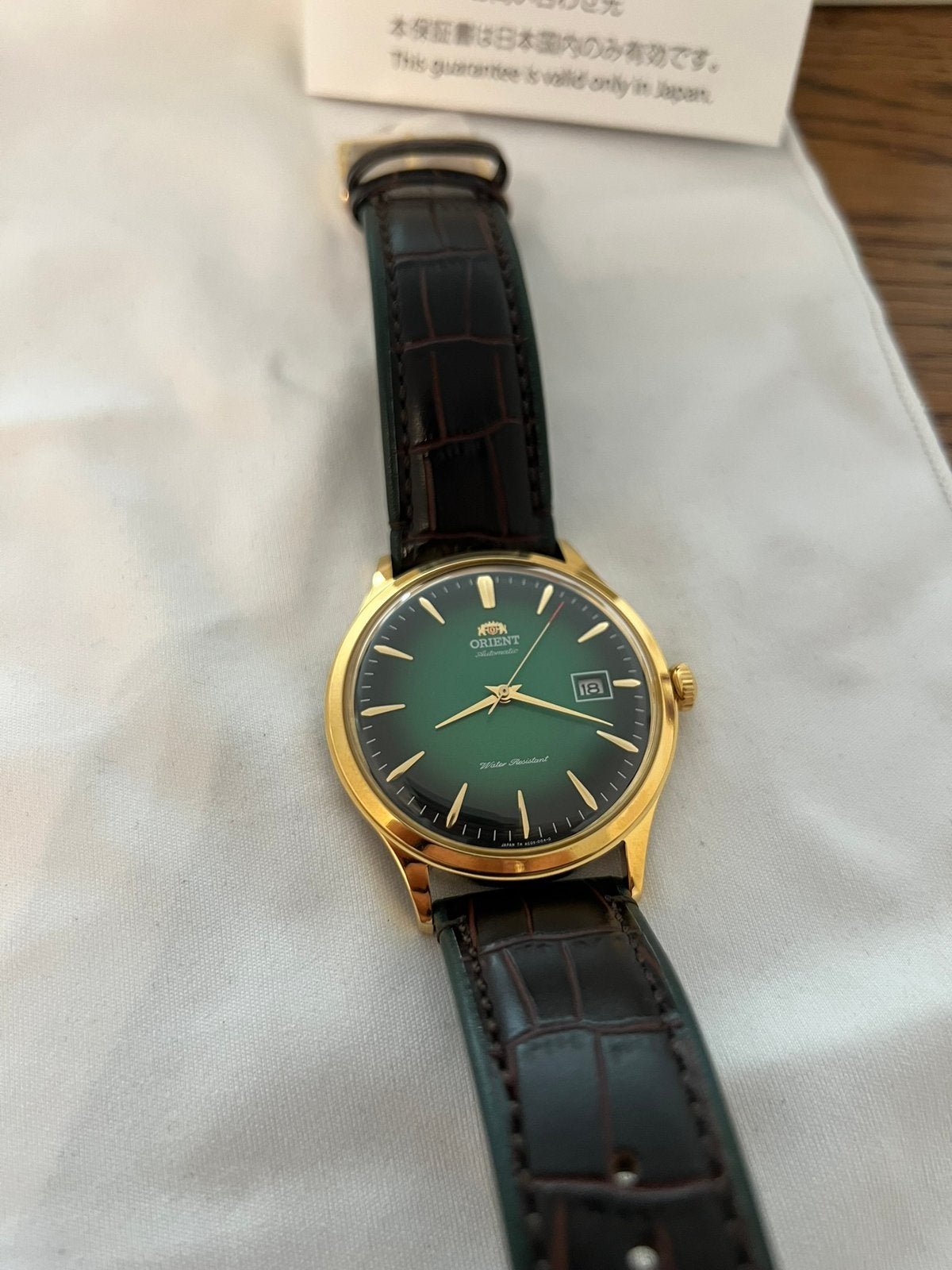 Orient Bambino 42mm, Overige merken, Leer, Polshorloge, Nieuw
