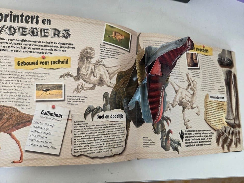 Super 3D Dinosaurussen Boek - Zo goed als nieuw, Boeken, Gelezen, Non-fictie, Ophalen of Verzenden, Robert Mash