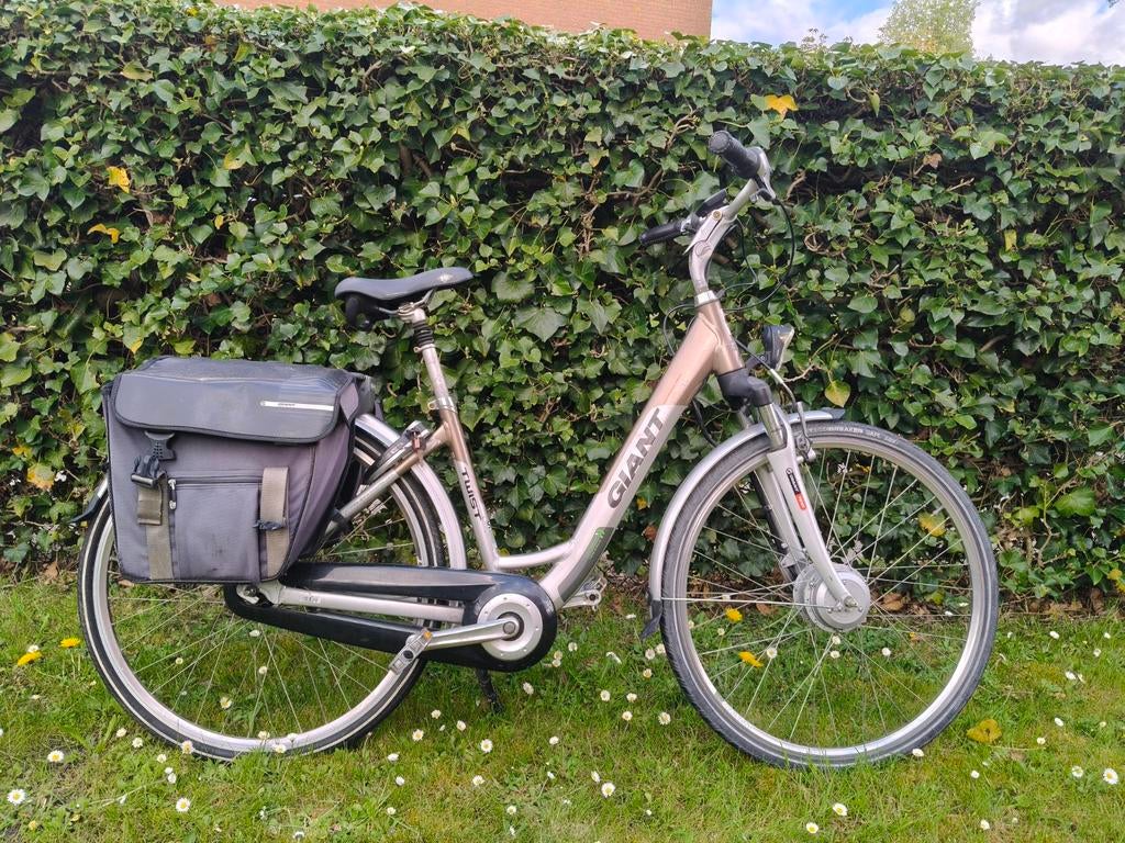 Giant Twist Go Double E-bike, Fietsen en Brommers, Elektrische fietsen, Gebruikt, Giant, 51 tot 55 cm, Minder dan 30 km per accu