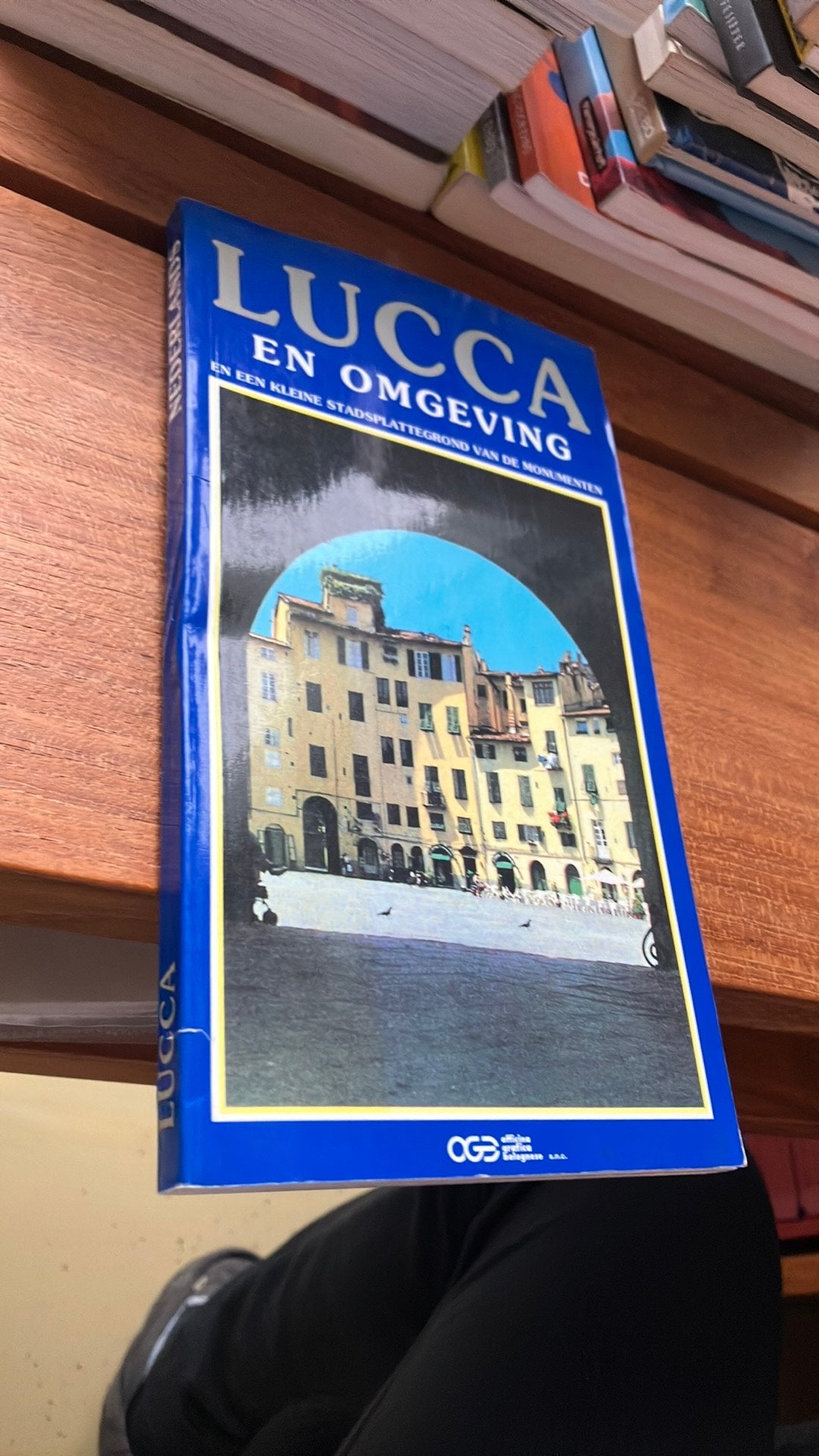 Reisgids Lucca en Omgeving - Nederlands, Europa, Ophalen of Verzenden, Reisgids of -boek, Gelezen