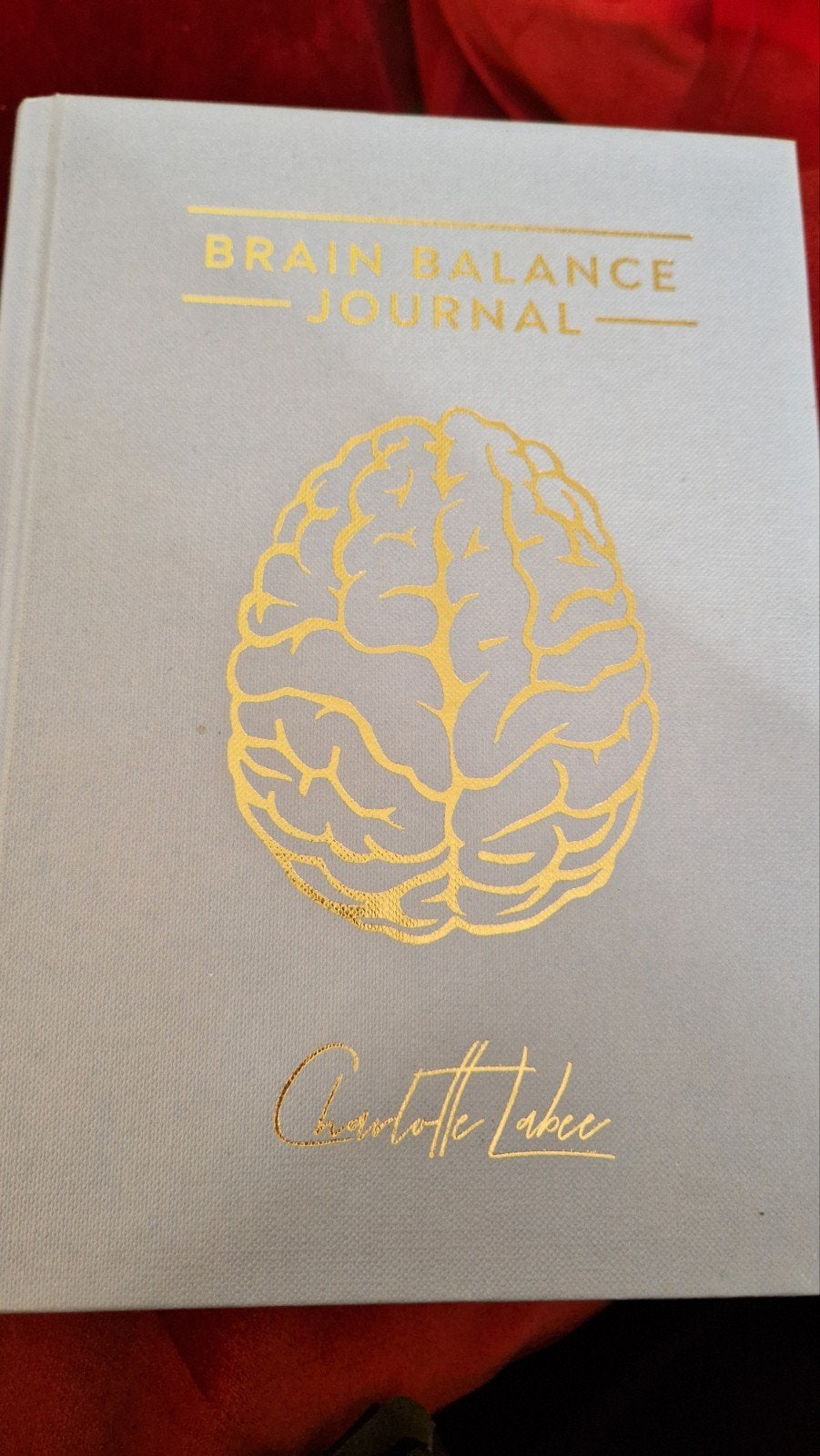 Charlotte Labee - Brain Balance Journal (nieuw), Ophalen of Verzenden, Nieuw, Charlotte Labee