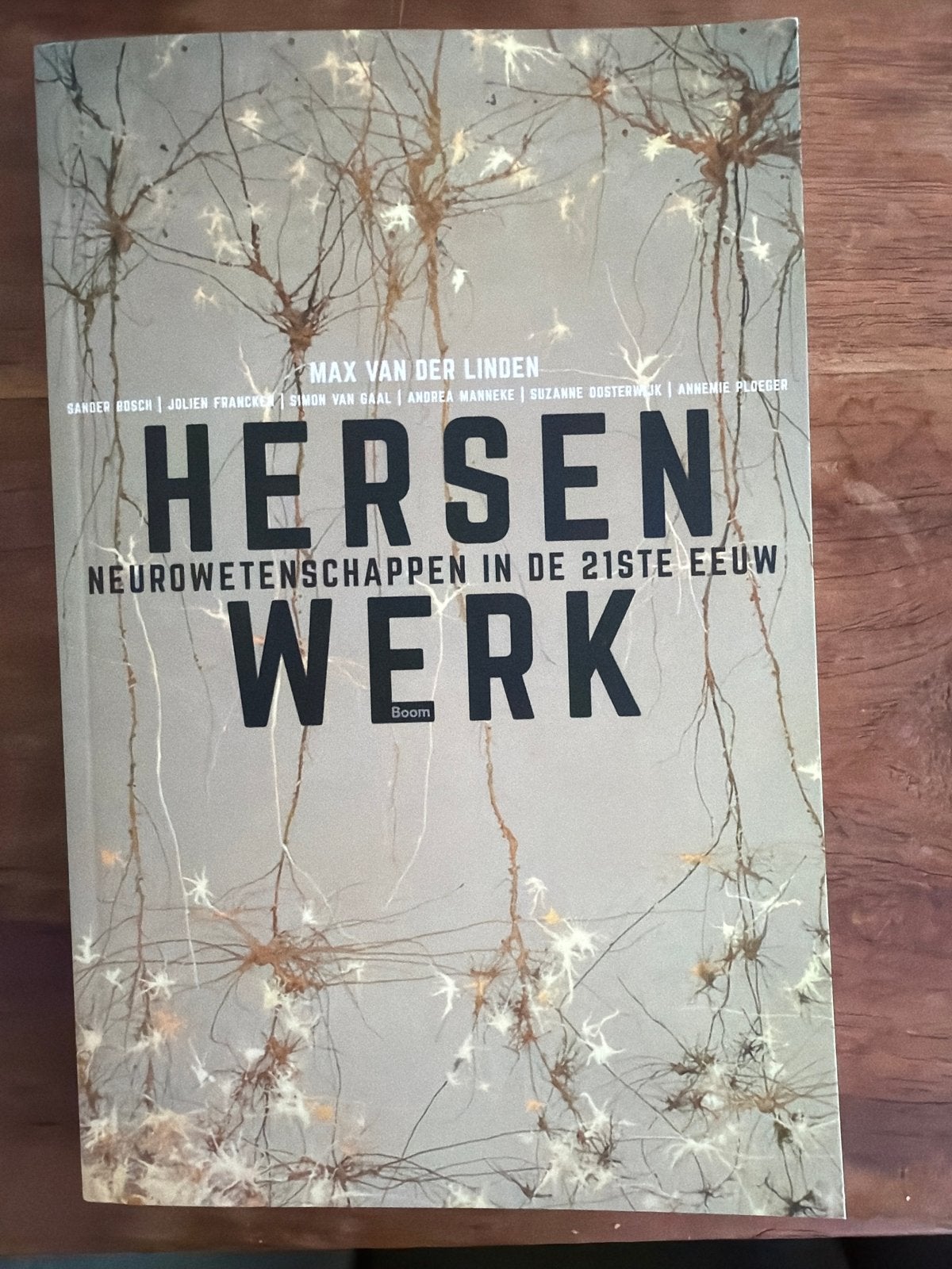 Hersenwerk: Neurowetenschappen in de 21ste Eeuw, Ophalen of Verzenden, Zo goed als nieuw, Natuurwetenschap