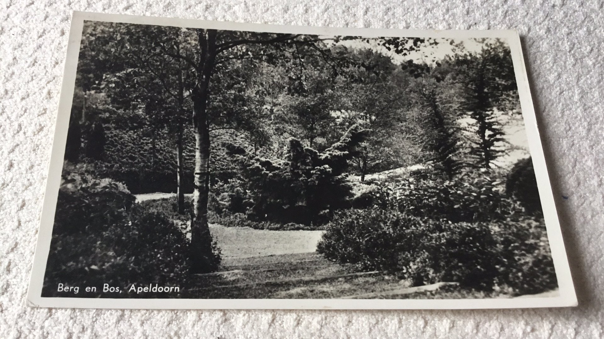 Apeldoorn.  Berg en Bos., Ophalen of Verzenden, 1940 tot 1960, Gelopen, Gelderland