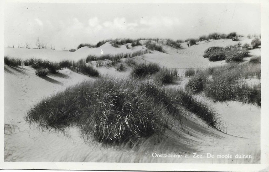 Oostvoorne- -De mooie duinen., Verzamelen, Ophalen of Verzenden, 1940 tot 1960, Gelopen, Zeeland