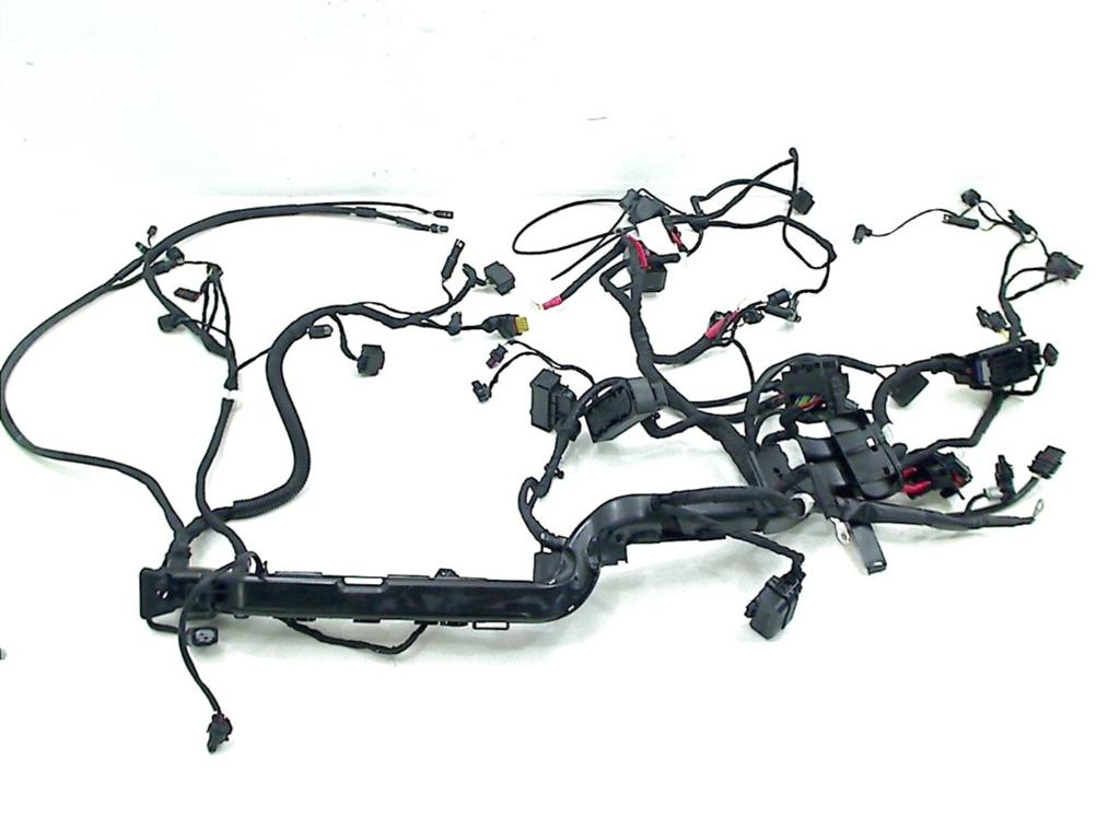 Kabelboom BMW R 1250 R 2019- (R1250R 2023) (2019-01/..), Gebruikt, Petuelring 130, München 80809, , Duitsland, BMW, Bayerische Motoren Werke AG