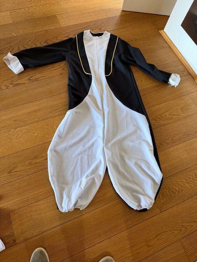 Pinguin carnavalspak, Ophalen, Carnaval, Maat 46/48 (XL) of groter, Kleding