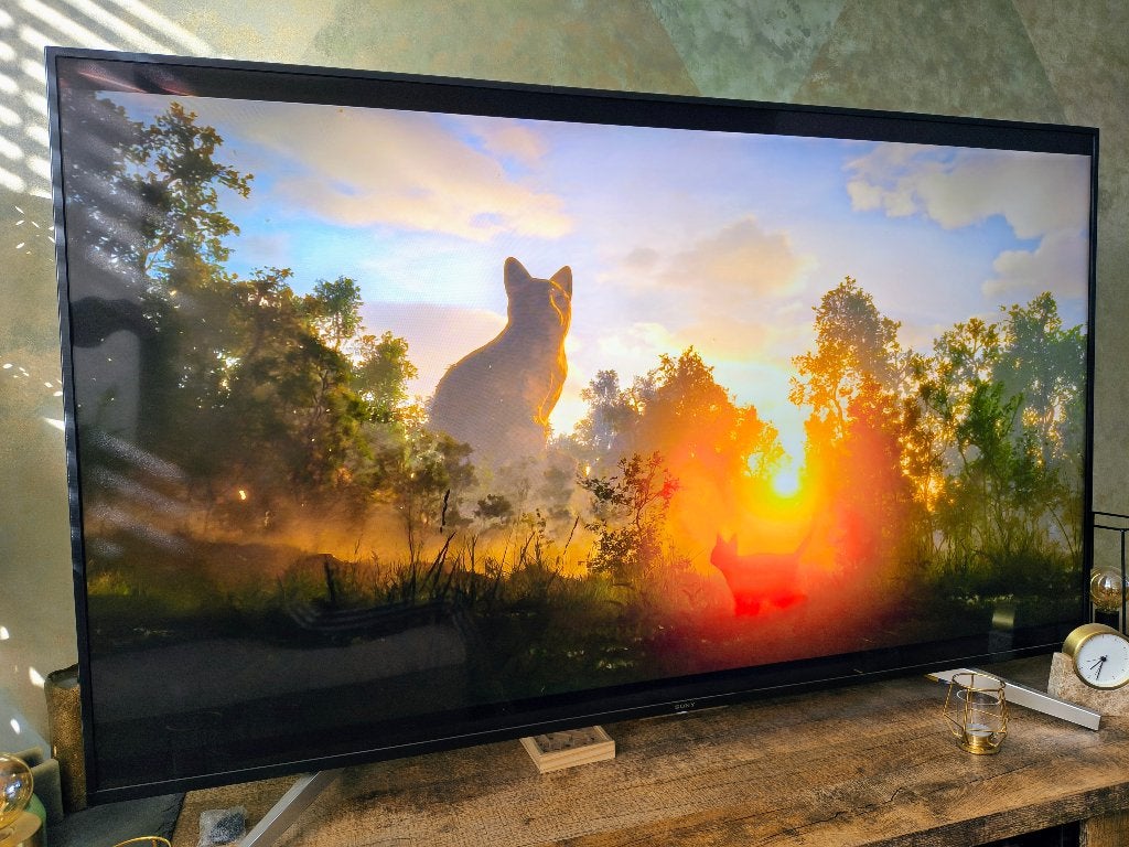 Sony 70 inch 4K tv - Uitstekende staat! Weg om verhuizing, Ophalen, LED, 120 Hz, Zo goed als nieuw