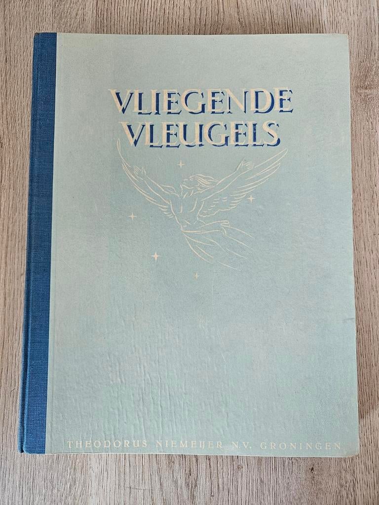 Vliegende Vleugels - Theodorus Niemeyer N.V. Groningen, Ophalen of Verzenden, Gelezen, C. van Steenderen