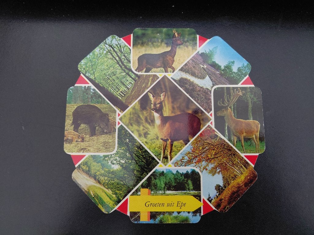 Epe, dieren in de natuur op de Veluwe, gelopen.  9 luik,, Verzamelen, Ansichtkaarten | Dieren, Verzenden, 1960 tot 1980, Gelopen