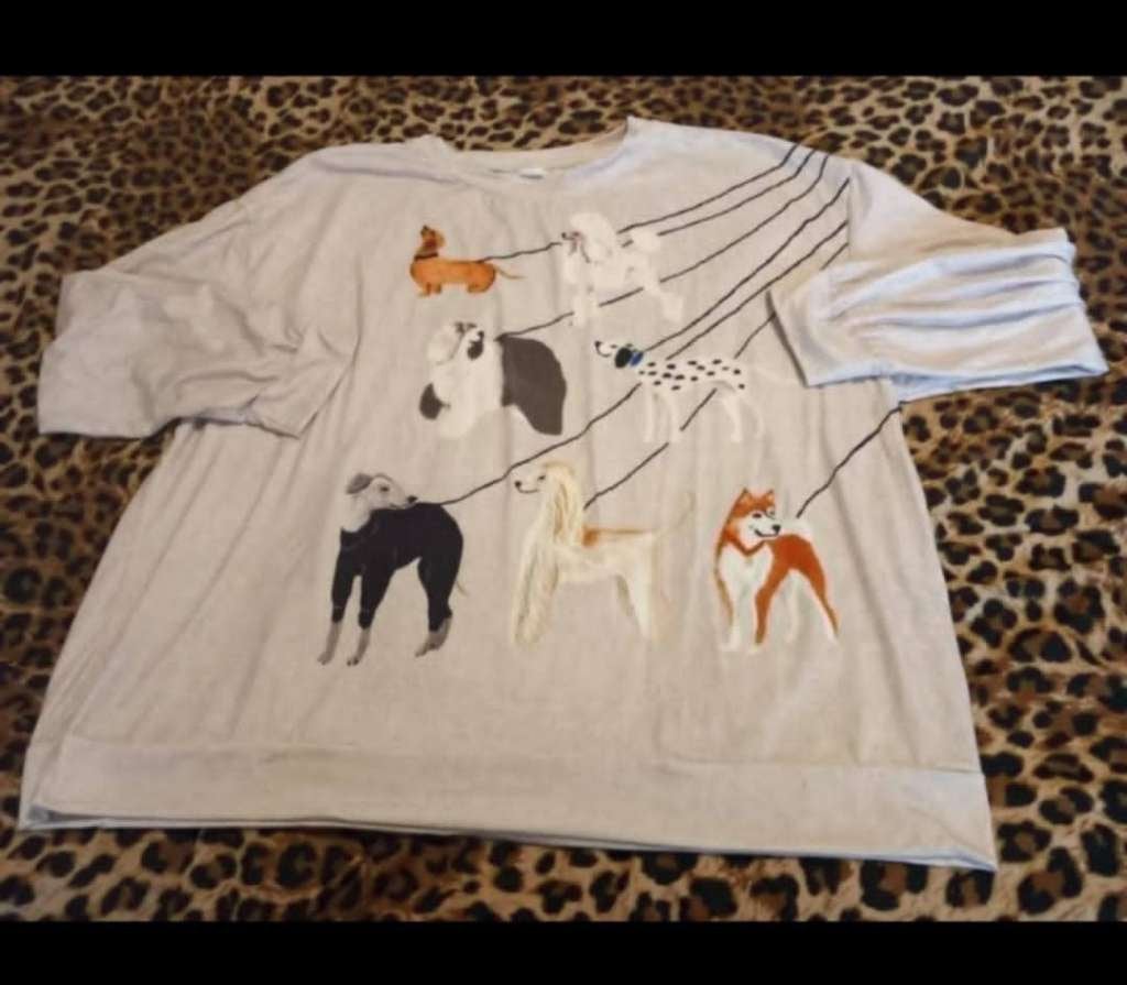 Beige longsleeve met (wind)honden, Verzenden, Beige, Maat 46/48 (XL) of groter, Onbekend