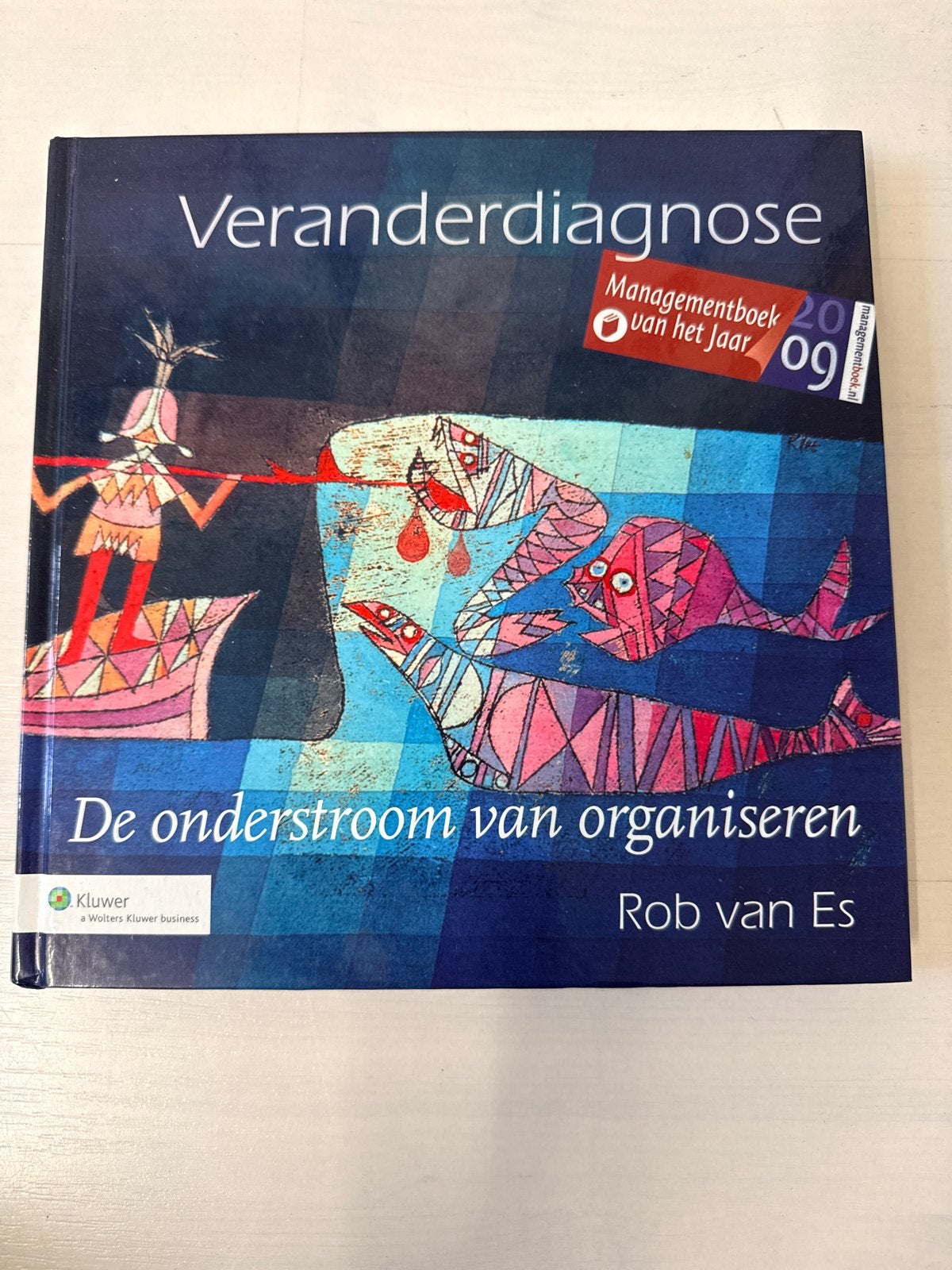 Veranderdiagnose: De onderstroom van organiseren - Rob van E, Boeken, Ophalen of Verzenden, Nieuw, Management