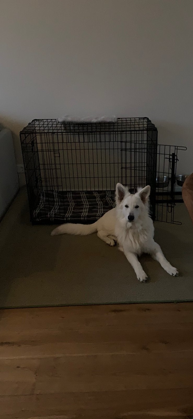 Z.G.A.N. bench (de hond is niet te koop!), Ophalen, Zo goed als nieuw