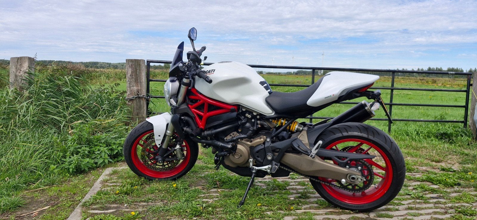 Ducati Monster 821, Motoren, 2 cilinders, Occasion, Motorrijbewijs A, Particulier