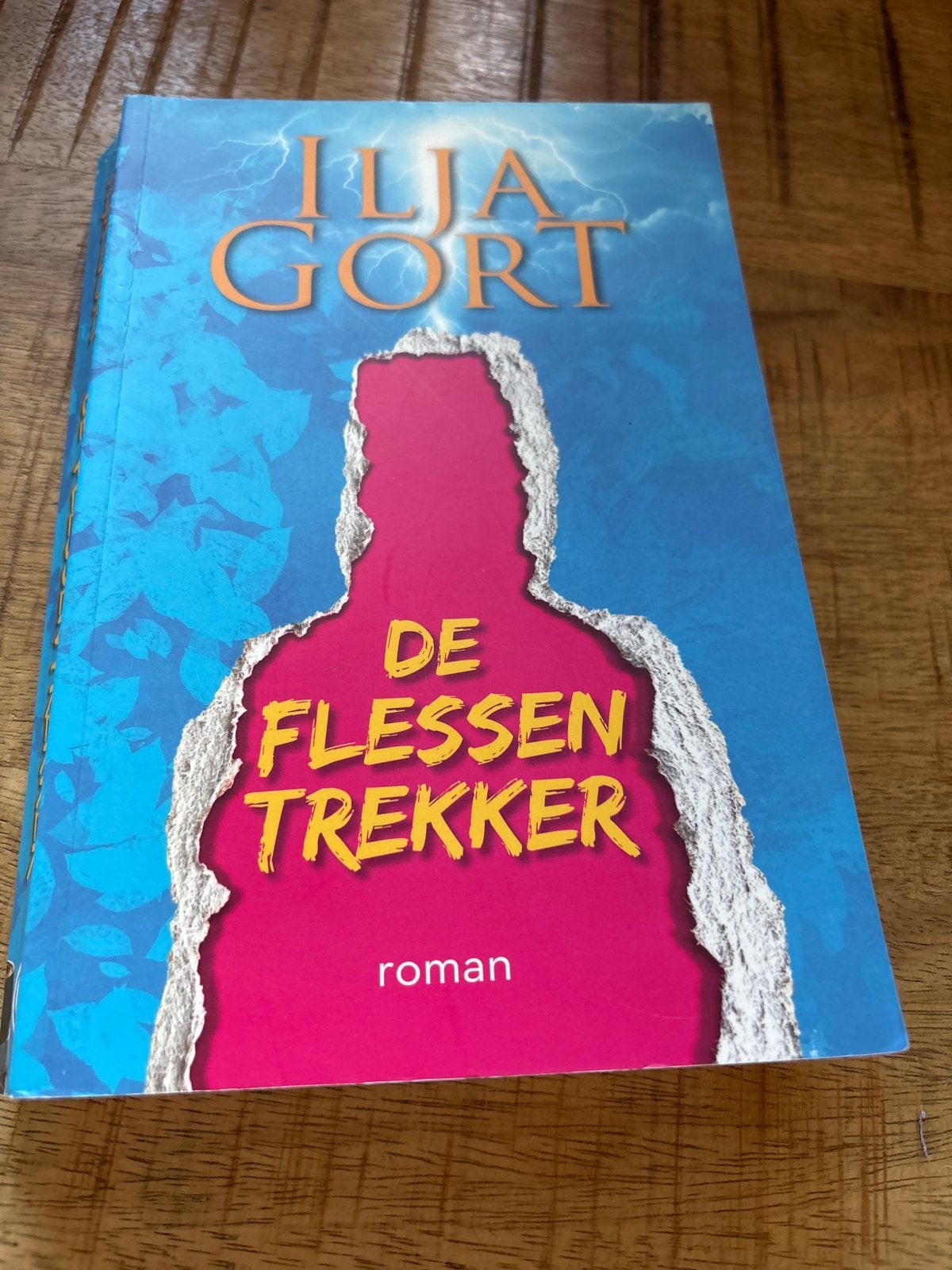 De Flessentrekker - Ilja Gort (roman), Ophalen of Verzenden, Gelezen