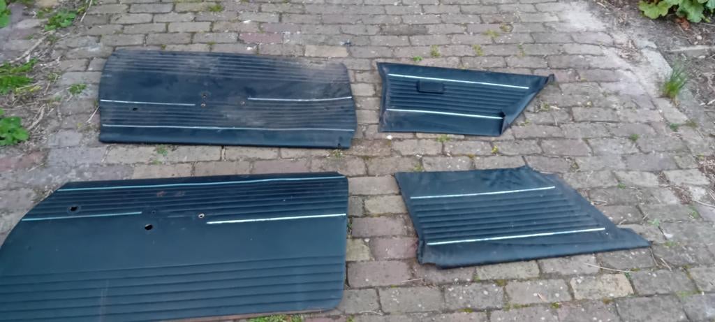 Deur paneel daf 46, Auto-onderdelen, Interieur en Bekleding, Ophalen