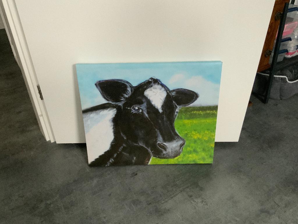 Koe op canvas, Ophalen
