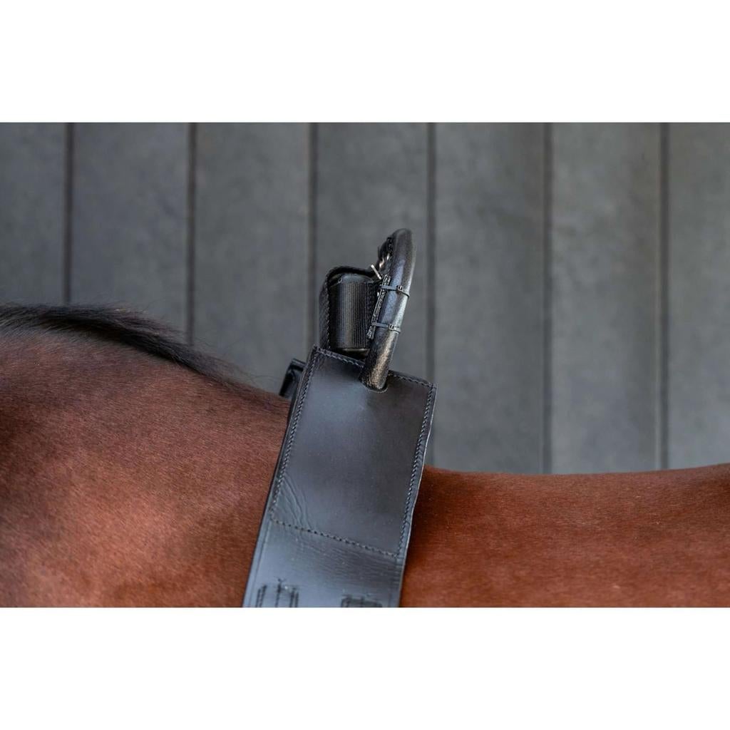 Birth alarm te huur, Dieren en Toebehoren, Paarden en Pony's | Overige Paardenspullen, Zo goed als nieuw, Overige soorten, Ophalen