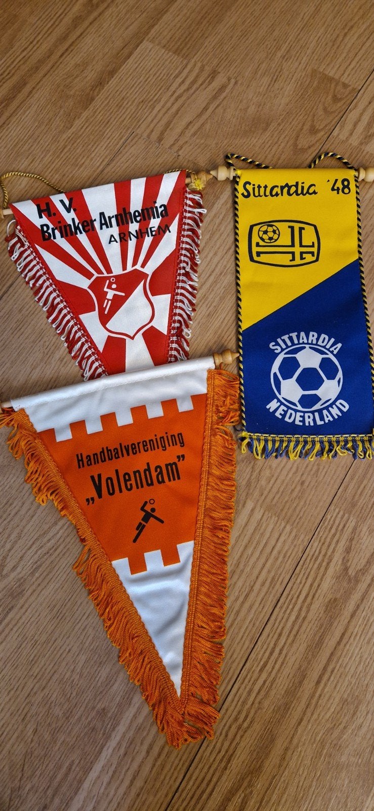 Handbal vaans, Sport en Fitness, Ophalen of Verzenden, Gebruikt, Toebehoren