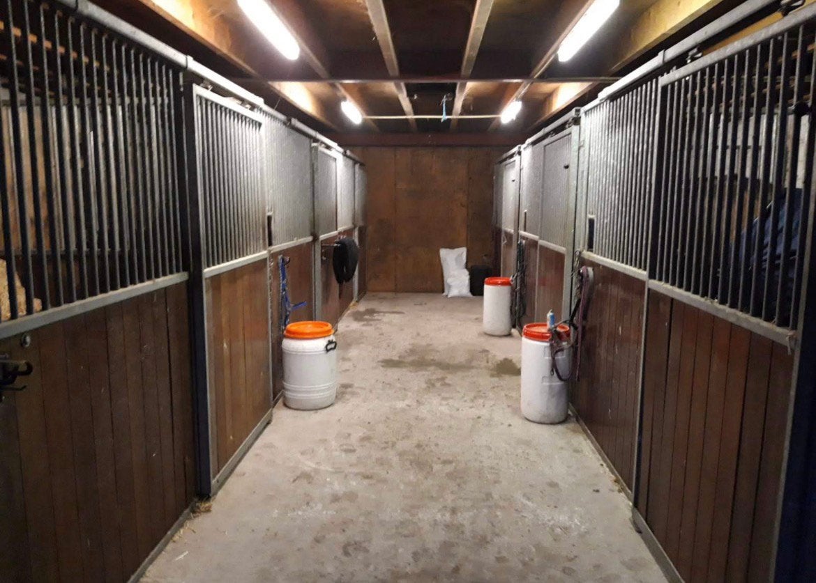Pensionstal, Weidegang, 1 paard of pony