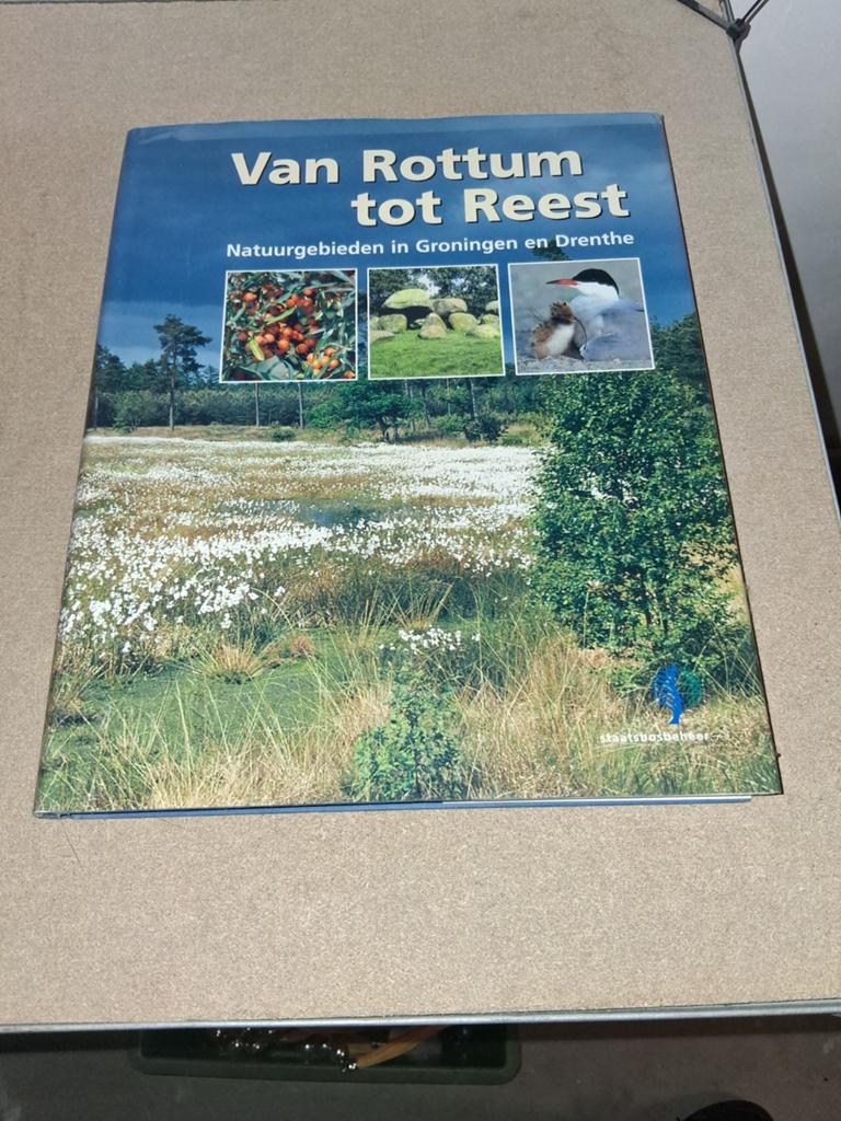 Van Rottum tot Reest: Natuurgebieden in Groningen en Drenthe