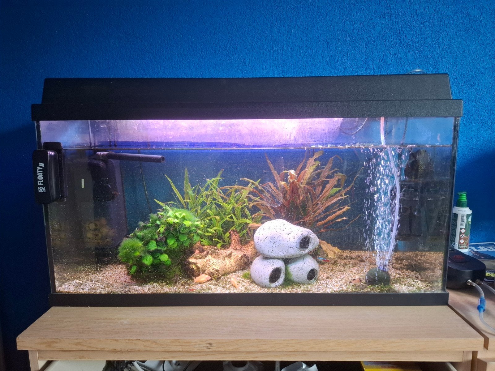 Aquarium inclusief alle toebehoren, Ophalen, Inclusief deksel, Gebruikt, Gevuld zoetwateraquarium