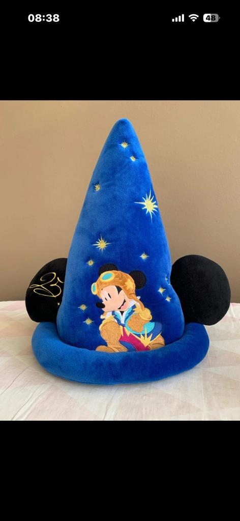 Disney hoed, Hobby en Vrije tijd, Feestartikelen | Verhuur, Ophalen, Zo goed als nieuw