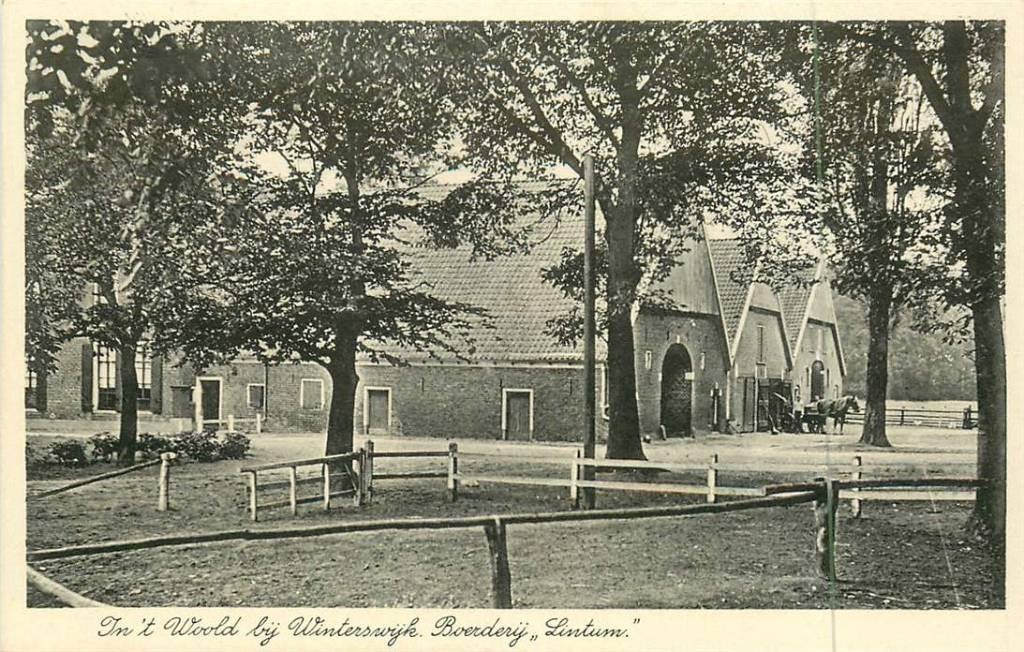 381-016-037 Winterswijk Boerderij Lintum, Verzenden, Voor 1920, Gelderland