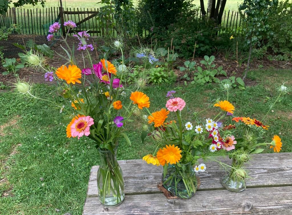 Plukbloementuintje BIOLOGISCH, Tuin en Terras, Planten | Tuinplanten, Volle zon, Eenjarig, Zomer, Ophalen