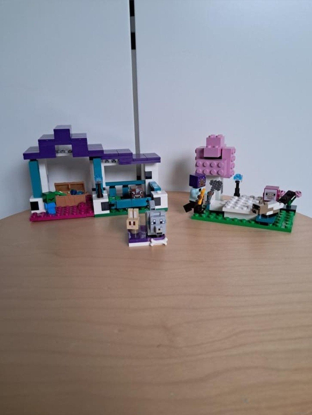 LEGO Minecraft de dierenopvang - 21253, Ophalen of Verzenden, Gebruikt