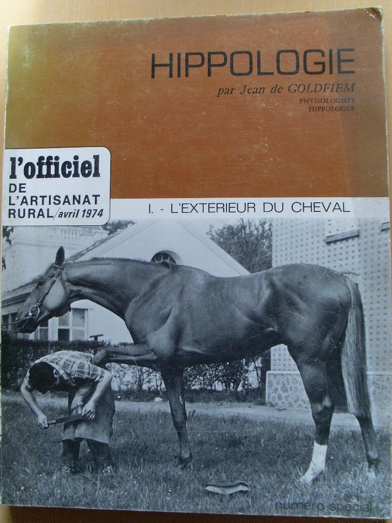Hippologie Jean de Goldfiem, Ophalen of Verzenden, Gelezen, Behendigheidssport
