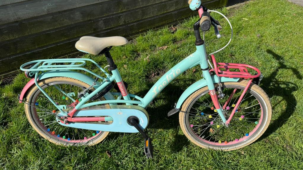 Kinderfiets Loekie Princess 20 inch, Fietsen en Brommers, Fietsen | Meisjes, Ophalen, Terugtraprem, Gebruikt, Handrem