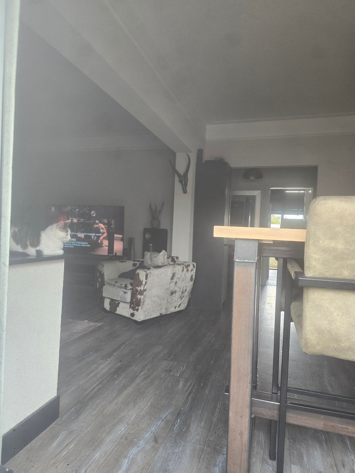 appartement te huur voor 3 dagen formule 1 zantvoort, Huizen en Kamers