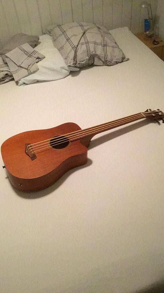 Goldtone Microbass 25 Fretless, Ophalen, Gebruikt, Semi-akoestisch, Fretloos