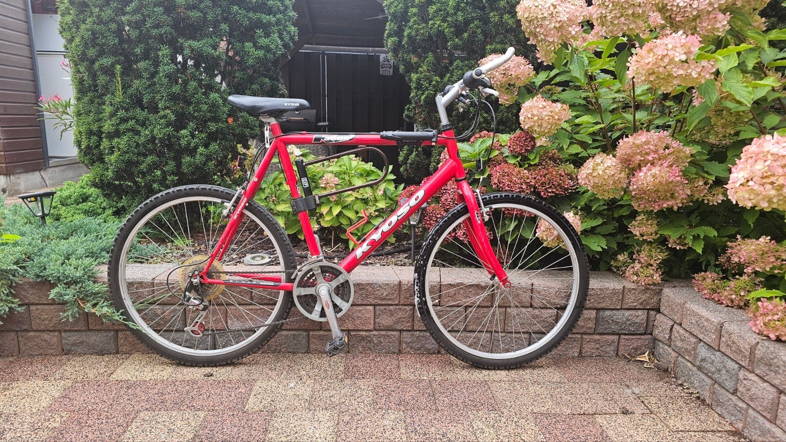 Rode Kyoso 3000  26 inch mountainbike, gebruikt, Gebruikt, 57 cm of meer, Velgrem, Ophalen