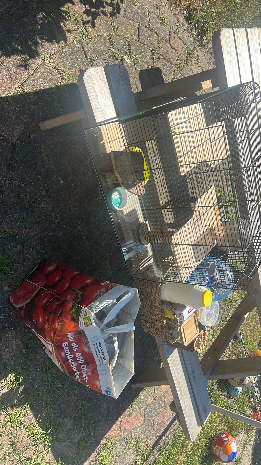 Complete hamsterkooi met inrichting en voer!, Dieren en Toebehoren, Knaagdieren en Konijnen | Hokken en Kooien, Kooi, Minder dan 75 cm