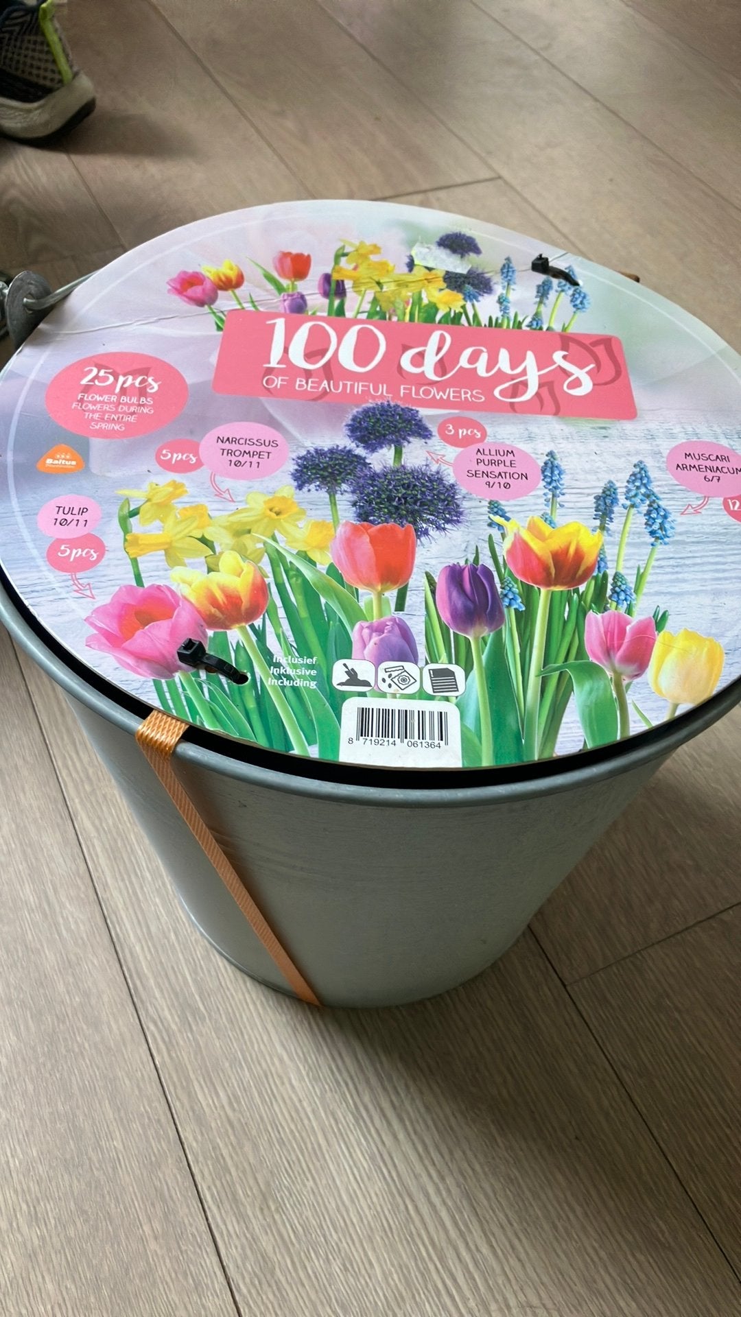 Giftbox Bucket Flower Emmer met bloembollen, Ophalen of Verzenden, Volle zon