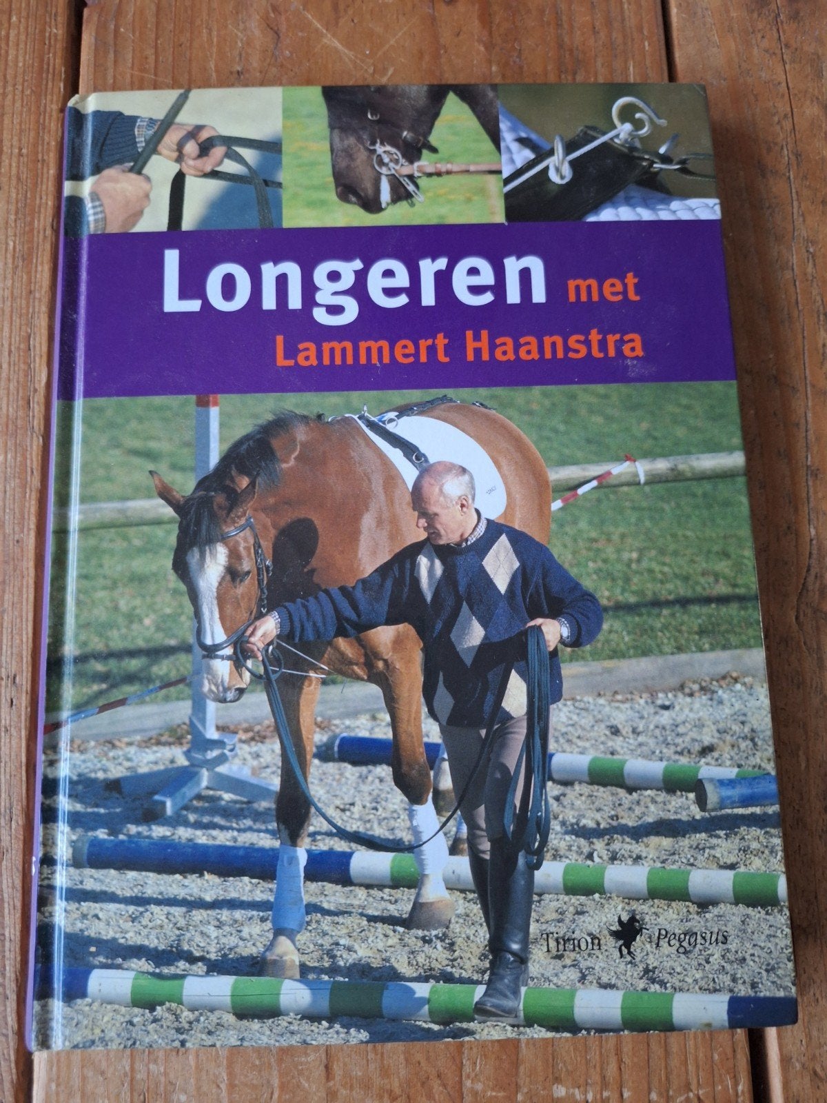 Longeren met Lammert Haanstra - Paardentraining Boek, Verzenden, Zo goed als nieuw, Paarden of Pony's, Lammert Haanstra