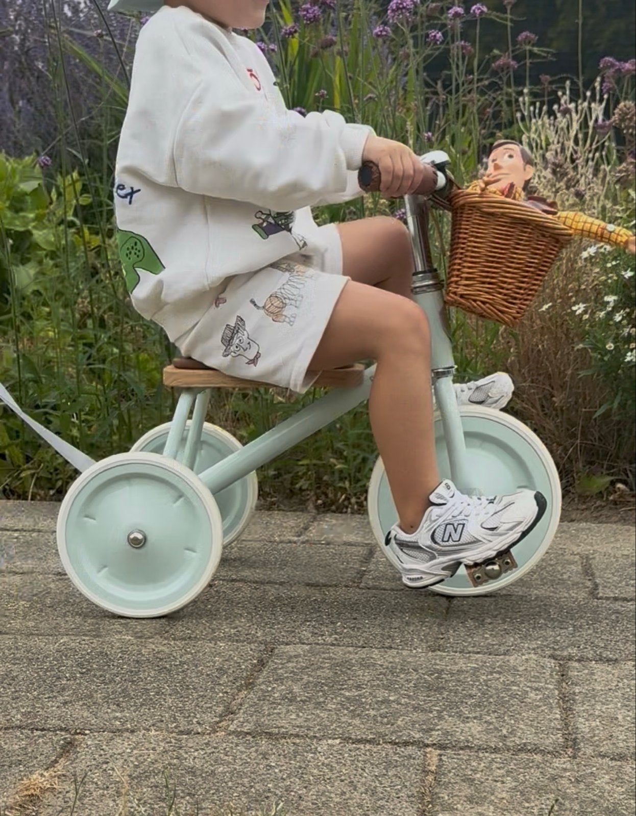 Banwood Trike driewieler mint met mandje, Ophalen, Zo goed als nieuw, Terugtraprem, Minder dan 16 inch